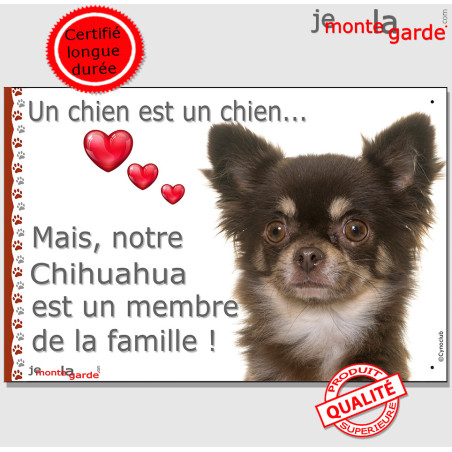 Chihuahua marron et tan à poils longs, plaque photo "Un Chien est Membre de la Famille" résiste pluie soleil gel, 2 tailles D