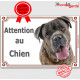 Cane Corso bringé, pancarte portail "Attention au Chien" Plaque photo race, Panneau Italiano zébré affiche