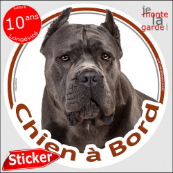 Cane Corso Italiano gris bleu, sticker autocollant rond "Chien à Bord" disque photo adhésif voiture oreilles coupées taillées