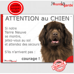 Terre Neuve marron chocolat tête, plaque humour "Attention au Chien, Jetez Vous au Sol, secours courage" pancarte panneau photo 