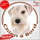 Schnauzer tout blanc Tête, Sticker autocollant rond "Chien à Bord" disque photo adhésif vitre voiture