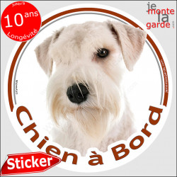 Schnauzer tout blanc Tête, Sticker autocollant rond "Chien à Bord" disque photo adhésif vitre voiture