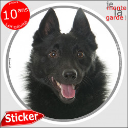 Schipperke, sticker autocollant rond "photo" intérieur ou Extérieur adhésif résistant intempéries, disque