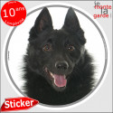 Schipperke, disque autocollant "photo" 14 cm