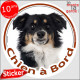 Berger Américain Tricolore Noir Miniature, sticker autocollant rond "Chien à Bord" disque photo adhésif voiture Aussie TOY