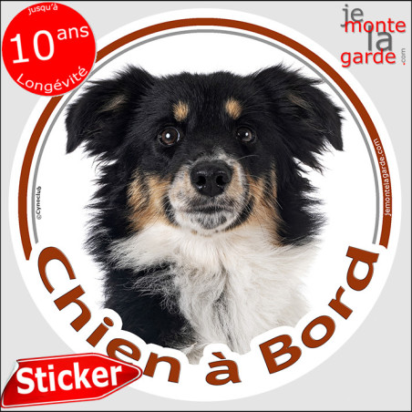 Berger Américain Tricolore Noir Miniature, sticker autocollant rond "Chien à Bord" disque photo adhésif voiture Aussie TOY, rési