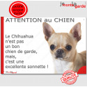 Plaque "Attention au Chien, le Chihuahua est une sonnette" 24 cm RNG