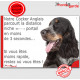 Cocker Anglais tricolore bleu roan et feu, plaque humour "distance niche-portail 3 secondes" attention au chien photo