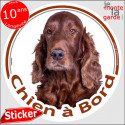 Setter Irlandais, sticker voiture rond "Chien à Bord" 14 cm