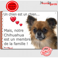 Chihuahua fauve charbonné poils longs, plaque "Un chien est Membre de la Famille" photo panneau idée cadeau cadre pancarte