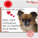 Chihuahua, plaque "Membre de la Famille" 24 cm LOVE