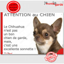 Plaque "Attention au Chien, le Chihuahua est une sonnette" 24 cm RNG