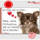 Chihuahua Chocolat Marron et Tan poils longs, plaque "Un chien est Membre de la Famille" photo panneau idée cadeau cadre pancart