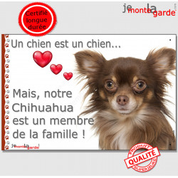 Chihuahua Chocolat Marron et Tan poils longs, plaque "Un chien est Membre de la Famille" photo panneau idée cadeau cadre pancart