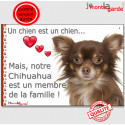 Chihuahua, plaque "Membre de la Famille" 24 cm LOVE