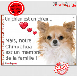 Chihuahua fauve et blanc poils longs, plaque "Un chien est Membre de la Famille" photo panneau idée cadeau cadre pancarte