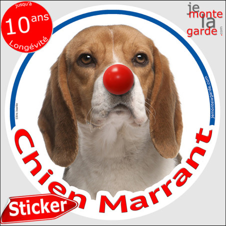 Beagle, sticker rond "Chien Marrant" 14 cm Beagle, sticker rond "Chien Marrant" 14 cm