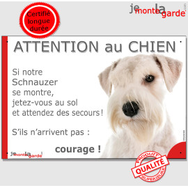 Schnauzer entièrement blanc, plaque portail humour "Attention au Chien, Jetez Vous au Sol, attendez secours, courage" photo rési