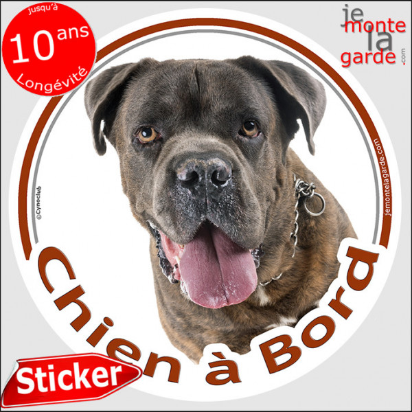 Cane Corso Italiano bringé, sticker autocollant voiture rond "Chien à Bord" Disque adhésif photo, résiste pluie soleil gel, idée Cane Corso Italiano bringé, sticker autocollant voiture rond "Chien à Bord" Disque adhésif photo, résiste pluie soleil gel, idée