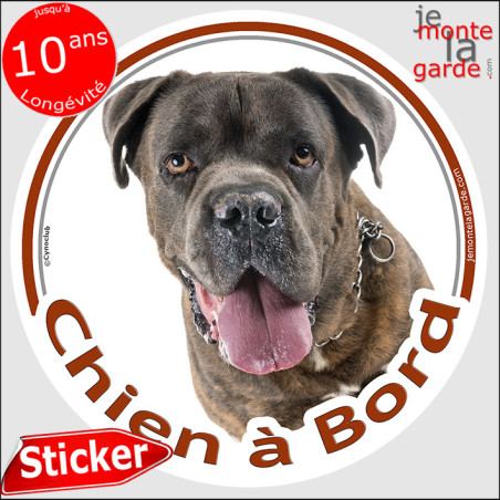 Cane Corso bringé, sticker voiture rond photo "Chien à Bord" résiste pluie soleil gel, idée cadeau, 2 tailles D Cane Corso bringé, sticker voiture rond photo "Chien à Bord" résiste pluie soleil gel, idée cadeau, 2 tailles D