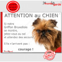 Griffon Bruxellois, plaque humour "Jetez Vous au Sol, Attention au Chien" 24 cm JET