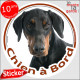 Dobermann noir et feu, sticker autocollant rond "Chien à Bord" Disque adhésif vitre voiture photo race chien