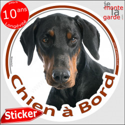 Dobermann Tête, sticker autocollant rond "Chien à Bord" Disque adhésif vitre voiture photo race chien