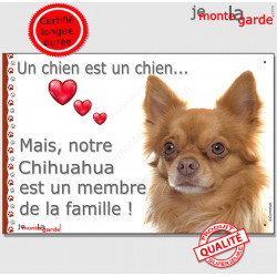 Chihuahua fauve caramel, marron chocolat dilué poils longs, plaque "Un chien est Membre de la Famille" photo panneau idée cadeau