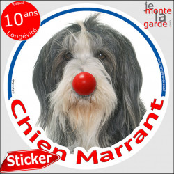 Bearded Collie noir et blanc, sticker autocollant rond "Chien Marrant" Disque adhésif vitre voiture photo amusant humoristique