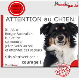 Berger Australien Miniature tricolore noir, plaque portail humour "Attention au Chien, Jetez Vous au Sol, attendez secours, cour