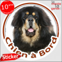 Dogue du Tibet, sticker voiture "Chien à Bord" 14 cm