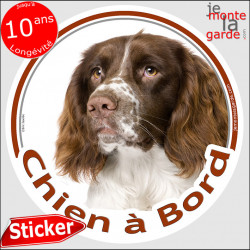 Springer marron foie et blanc , sticker autocollant rond "Chien à Bord" Disque photo adhésif vitre voiture