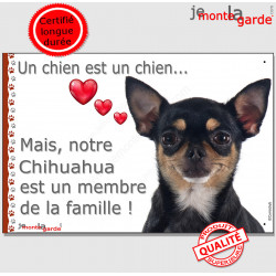 Chihuahua noir et feu à poils courts, plaque "Un chien est Membre de la Famille" photo panneau idée cadeau