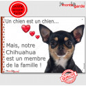 Chihuahua, plaque "Membre de la Famille" 24 cm LOVE