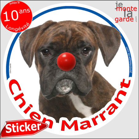 Boxer bringé, sticker autocollant rond "Chien Marrant" Disque adhésif vitre voiture photo amusant humoristique marrant Boxeur, r