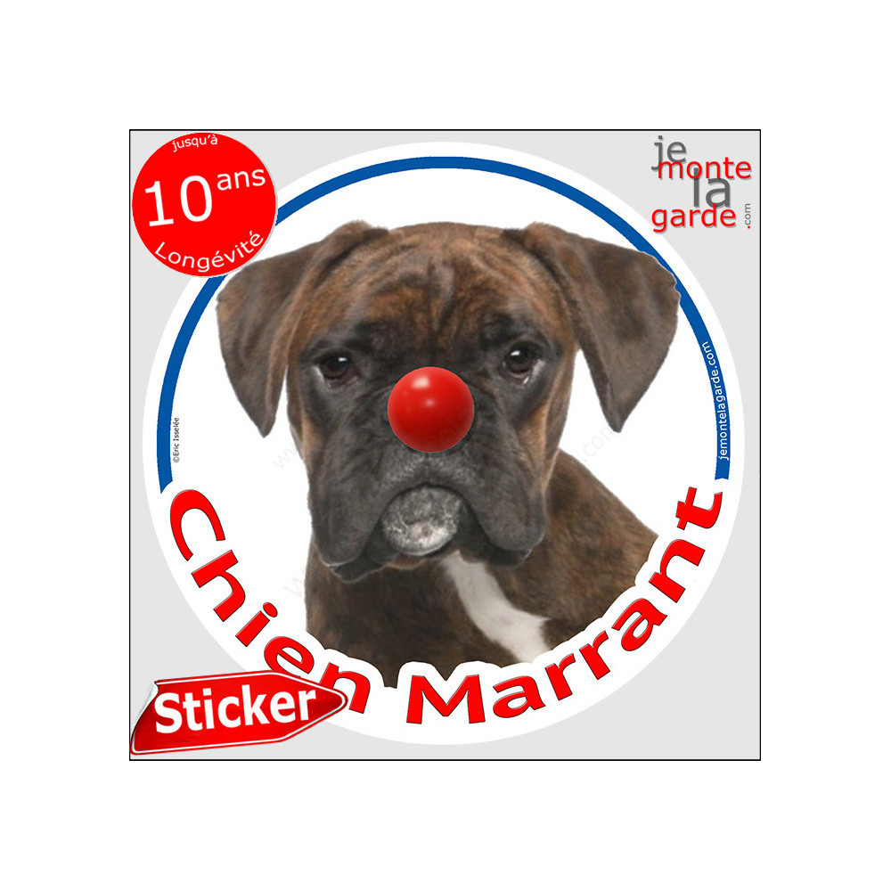 Boxer marrant sales