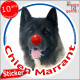 Akita Américain, sticker autocollant rond "Chien Marrant" Disque adhésif vitre voiture photo amusant humoristique marrant