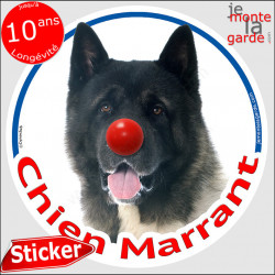 Akita Américain, sticker autocollant rond "Chien Marrant" Disque adhésif vitre voiture photo amusant humoristique marrant