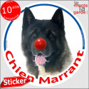 Akita USA, sticker rond "Chien Marrant" 14 cm