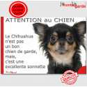 Plaque "Attention au Chien, le Chihuahua est une sonnette" 24 cm RNG