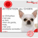 plaque portail humour "Attention au Chien, notre Chihuahua blanc et beige à poils courts est une sonnette" pancarte photo