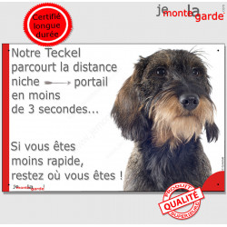 Teckel Poils Durs sanglier, plaque portail humour "Attention au chien, parcourt distance Niche - Portail" pancarte photo