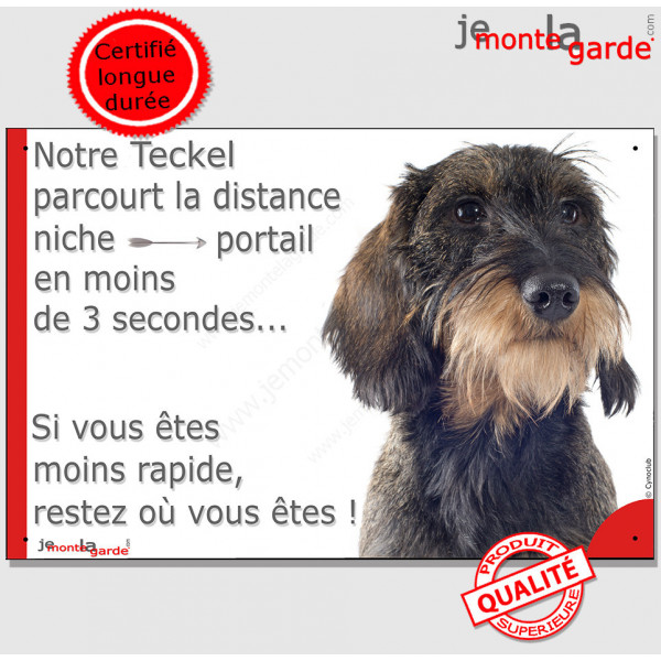 Teckel Poils Durs sanglier, plaque portail humour "Attention au chien, parcourt distance Niche - Portail" pancarte photo
