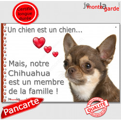 Chihuahua marron chocolat et Tan à poils courts, plaque "Un chien est Membre de la Famille" photo panneau idée cadeau