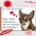 Chihuahua, plaque "Membre de la Famille" 24 cm LOVE