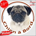 Carlin, sticker voiture "Chien à Bord" 14 cm