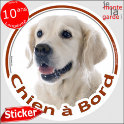 Golden Retriever, sticker autocollant rond "Chien à Bord" Disque adhésif vitre voiture beige clair photo