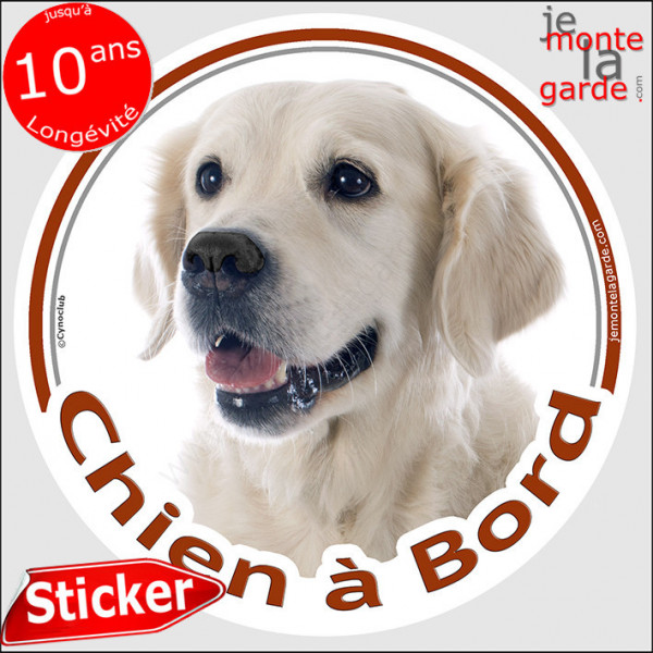Golden Retriever, sticker autocollant rond "Chien à Bord" Disque adhésif vitre voiture beige clair photo
