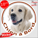 Golden Retriever, sticker voiture rond "Chien à Bord" 2 tailles D