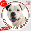 Amstaff, sticker voiture rond "Chien à Bord" 14 cm